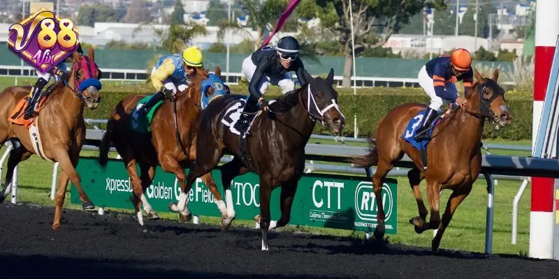 Bao gồm rất nhiều kèo bóng đá thuộc nhiều lĩnh vực khác nhau